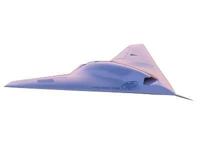 Light Blue Stealth Fighter Jet With Sleek Body Design Phantom Ray Model 3d model