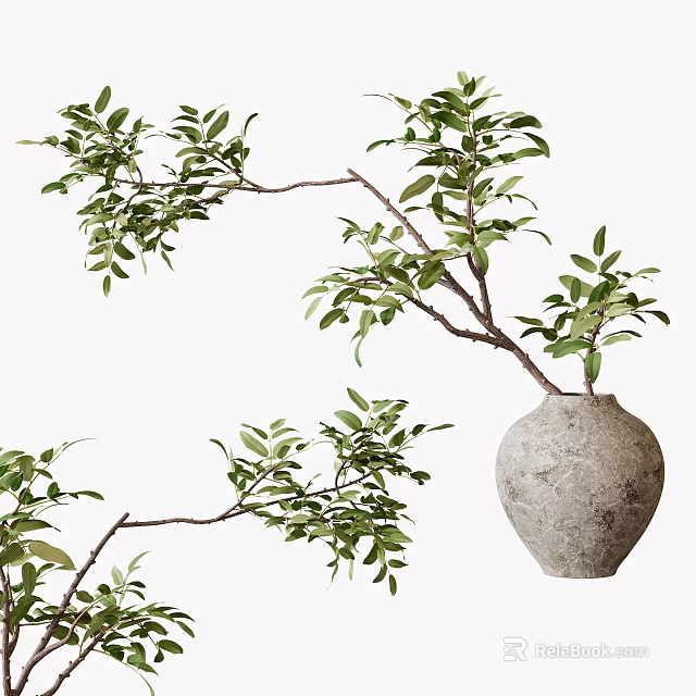 Terracotta Vase Decorated With Fresh Green Branches And Lush Leafy Foliage 3d model 
