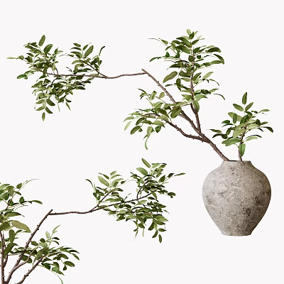 Terracotta Vase Decorated With Fresh Green Branches And Lush Leafy Foliage 3d model