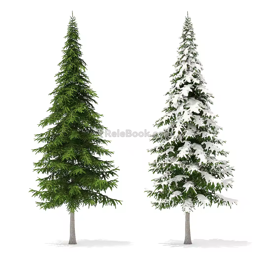 Modern Tree Pine 3d model
