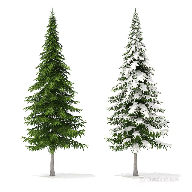 Green Pine and Snow Covered Fir Trees in Winter Natural Landscape 3d model 