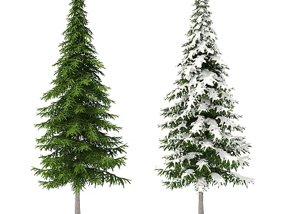 Green Pine and Snow Covered Fir Trees in Winter Natural Landscape 3d model