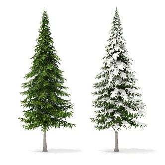 Modern Tree Pine 3d model