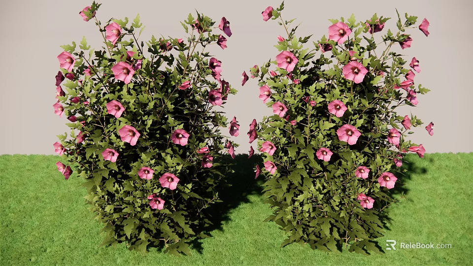 Vibrant Garden Shrub With Lush Green Foliage And Pink Blooms In Landscaped Yard 3d model 