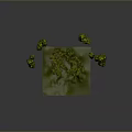 Natural Wood And Stone Decorative Rocks With Moss Covered Surfaces On Green Grass Base