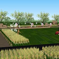 Rural Landscape With Lush Rice Fields Red Tractor Hot Air Balloons Scarecrow And Green Trees