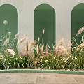 Decorative Flowers and Plants in Front of Three Green Arched Doorways with Background Wall