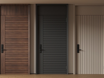 Modern Minimalist Entry Door Anti-theft Door Top Single Door Sub-mother Door Password Door 3d model