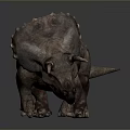 Realistic Triceratops Dinosaur 3D Rendering On Gray Background With Horns And Skin Texture