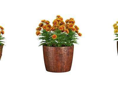 Decorative Bonsai Potted Plant With Orange Flowers In Brown Ceramic Pot 3d model