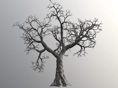 Leafless Arbor With Spreading Branches And Thick Trunk On Gray Background 3d model