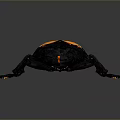Detailed Black and Orange Beetle with Large Mandibles and Shiny Exoskeleton