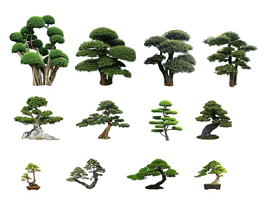 Bonsai Trees With Various Artistic Shapes And Decorative Styles For 3d model