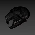 Detailed Animal Skull With Intricate Bone Structure And Sharp Teeth 3d model