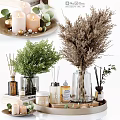 Elegant Decorative Ornament Set With Candles Dried Flowers Green Plants And Glass Vases
