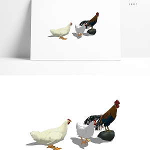 Modern Chicken Poultry Animal 3d model