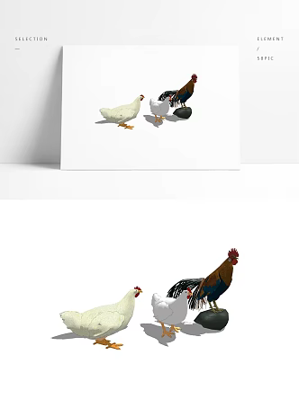 Modern Chicken Poultry Animal 3d model