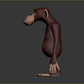 Cartoon Red Fur Monkey Character With Large Ears Standing In 3D Render 3d model