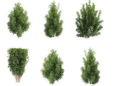 Garden shrub hedge plant hedge plant fence shrub ball cypress tree shrub hedge plant artificial construction shrub green plant model