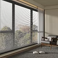 Modern Window Blinds in Bright Room with Large Window Trees Armchair Rug and Potted Plant