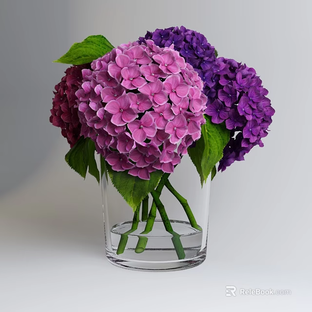 Decorative Glass Vase With Fresh Pink And Purple Hydrangea Flowers And Green Leaves 3d model 