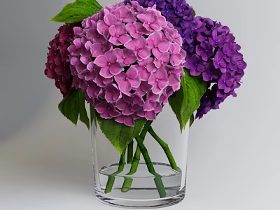 Decorative Glass Vase With Fresh Pink And Purple Hydrangea Flowers And Green Leaves 3d model
