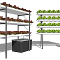 Vertical Growing Racks With Fresh Leafy Vegetables For Indoor Garden Setup 3d model