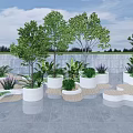 Modern Landscape Seats With Trees Plants White Planters And Wooden Decking