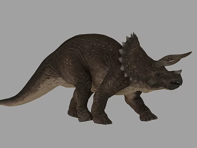 Detailed Realistic Triceratops Dinosaur 3D Model With Brown Skin Horns And Frill 3d model