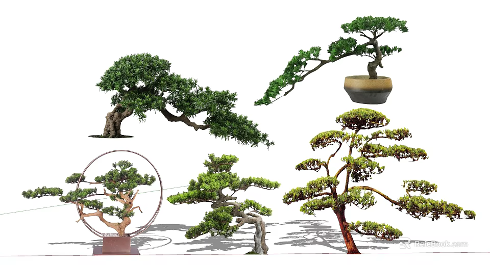 Bonsai Trees With Various Curved Branches Green Foliage And Decorative Pots 3d model 