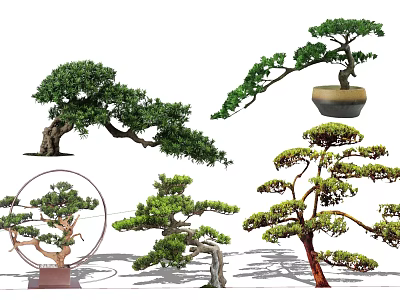 Bonsai Trees With Various Curved Branches Green Foliage And Decorative Pots 3d model