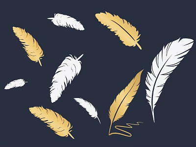Elegant White and Gold Feather Wall Decor for Dark Background Spaces 3d model