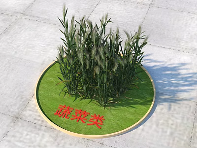 Fresh Green Vegetable Plants Growing on Round Platform with Red Markings 3d model