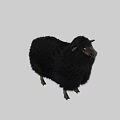 Black Plush Bed Bench With Metal Legs For Modern Bedroom Decor