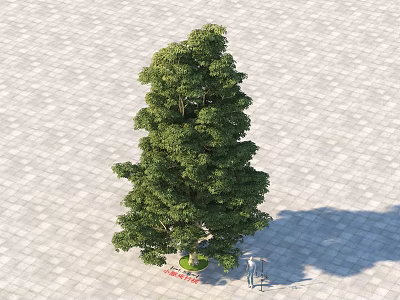 Tall Arbor With Lush Green Foliage And Shade On Gray Paved Ground 3d model