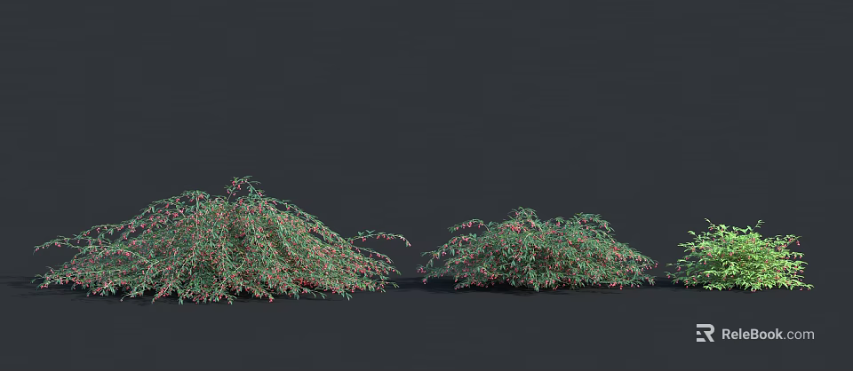 Green Leafy Shrubs With Red Accents On Dark Background 3D Render 3d model