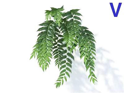 Bonsai Potted Plant With Green Long Slender Leaves And Hanging Foliage 3d model