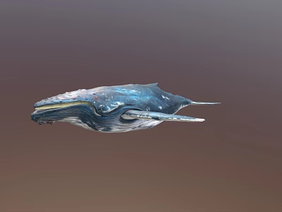 Realistic Blue White Whale with Textured Skin in Gradient Background 3d model