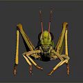 grasshopper insect cartoon locust animation locust anime locust anime game character 3d model