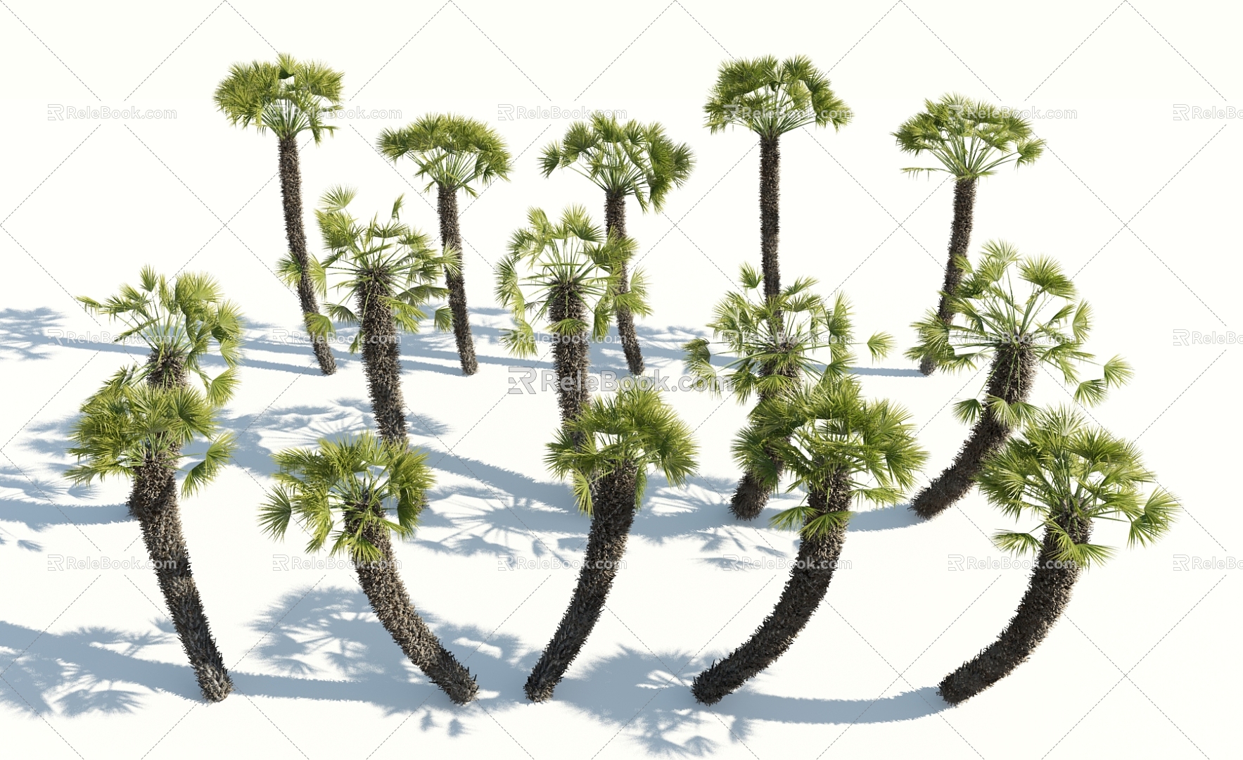 Modern Palm Tree 3d model