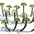 Modern Palm Tree 3d model