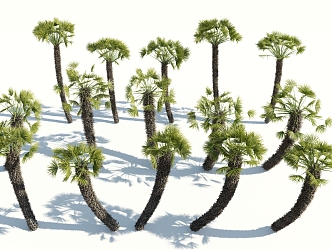 Modern Palm Tree 3d model