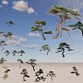 Various Arbor Tree Varieties with Different Shapes and Green Foliage 3d model