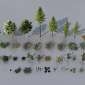 Diverse Plant Combinations With Various Trees Small Plants Arranged Neatly In Different Shapes Sizes