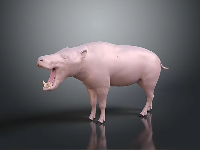 Pink Hippopotamus Model With Open Mouth And Teeth Standing On Black Surface Gray Background 3d model