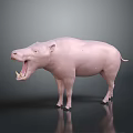 Pink Hippopotamus Model With Open Mouth And Teeth Standing On Black Surface Gray Background