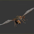 Modern Bee Ma Feng Wasp 3d model