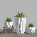 Three White Polygonal Design Bonsai Pots on Wooden Stand for Indoor Decor