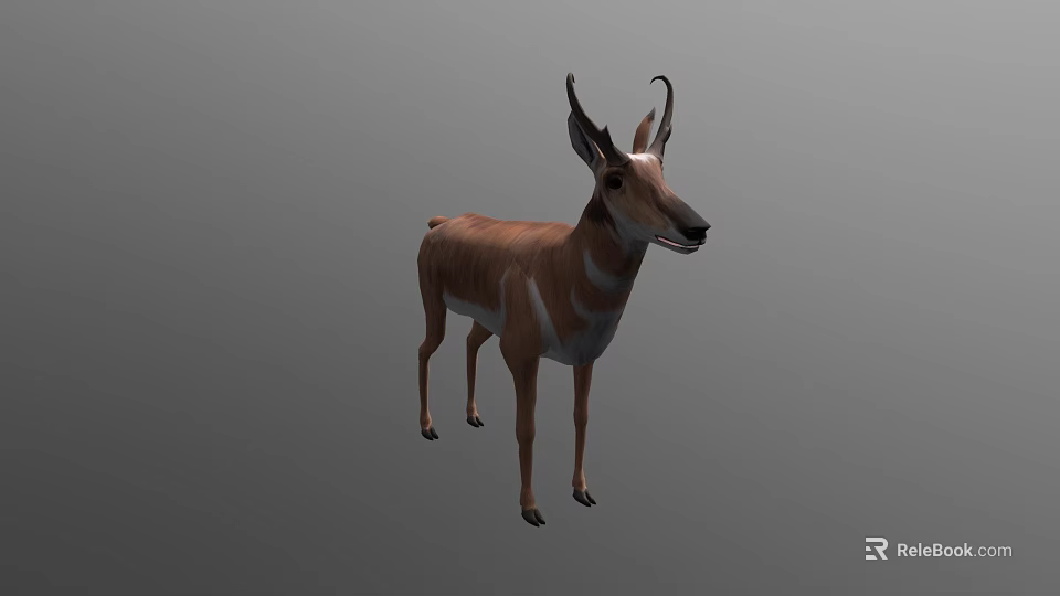 Realistic 3D Antelope Model With Brown Fur And Standing Pose 3d model