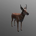 Realistic 3D Antelope Model With Brown Fur And Standing Pose 3d model